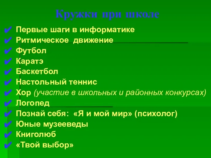 Кружки при школе Первые шаги в информатике Ритмическое движение Футбол Каратэ