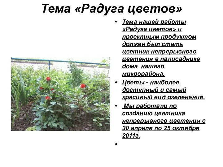 Тема «Радуга цветов» Тема нашей работы «Радуга цветов» и проектным продуктом