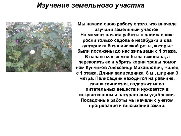 Изучение земельного участка Мы начали свою работу с того, что вначале