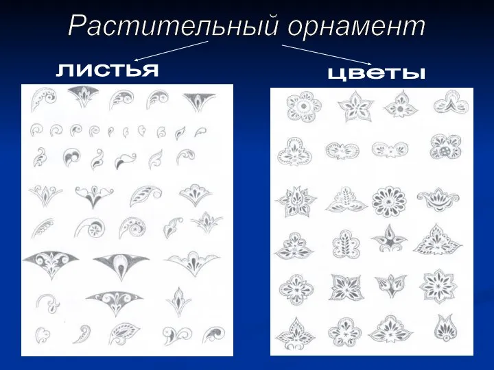 Растительный орнамент листья цветы