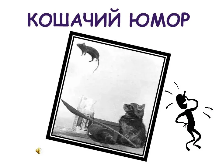 КОШАЧИЙ ЮМОР