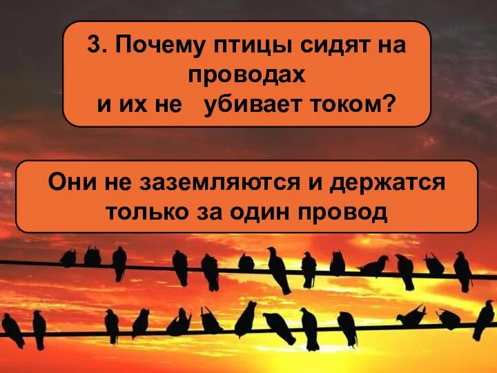 3. Почему птицы сидят на проводах и их не убивает током?