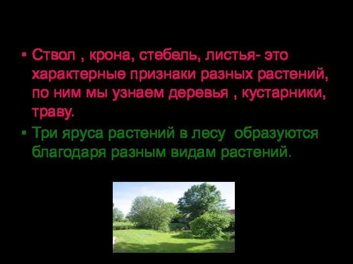 Выводы. Ствол , крона, стебель, листья- это характерные признаки разных растений,