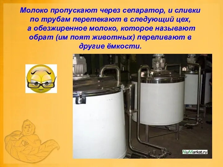 Молоко пропускают через сепаратор, и сливки по трубам перетекают в следующий