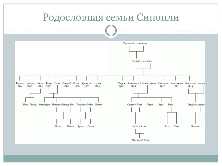 Родословная семьи Синопли