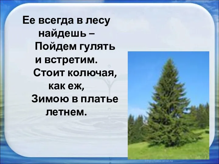 Ее всегда в лесу найдешь – Пойдем гулять и встретим. Стоит