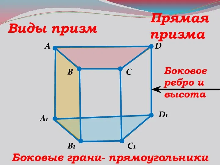 A B C1 D A1 B1 D1 C Виды призм Прямая