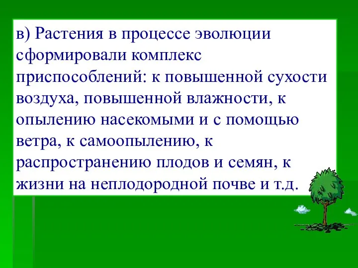 в) Растения в процессе эволюции сформировали комплекс приспособлений: к повышенной сухости