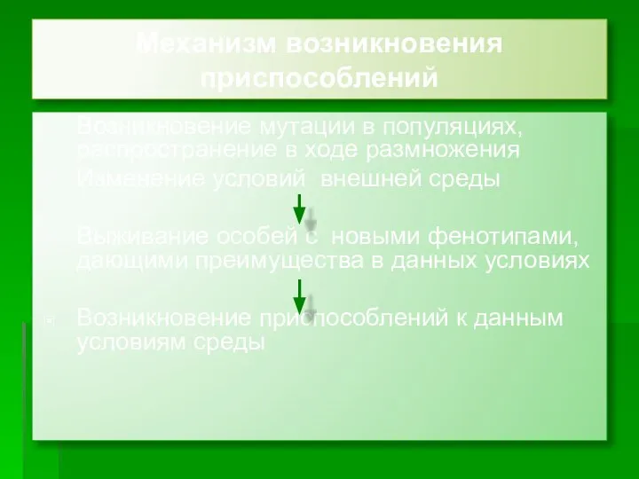 Механизм возникновения приспособлений Возникновение мутации в популяциях, распространение в ходе размножения