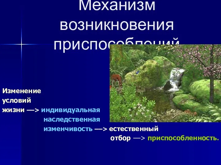 Механизм возникновения приспособлений Изменение условий жизни ––> индивидуальная наследственная изменчивость ––> естественный отбор ––> приспособленность.