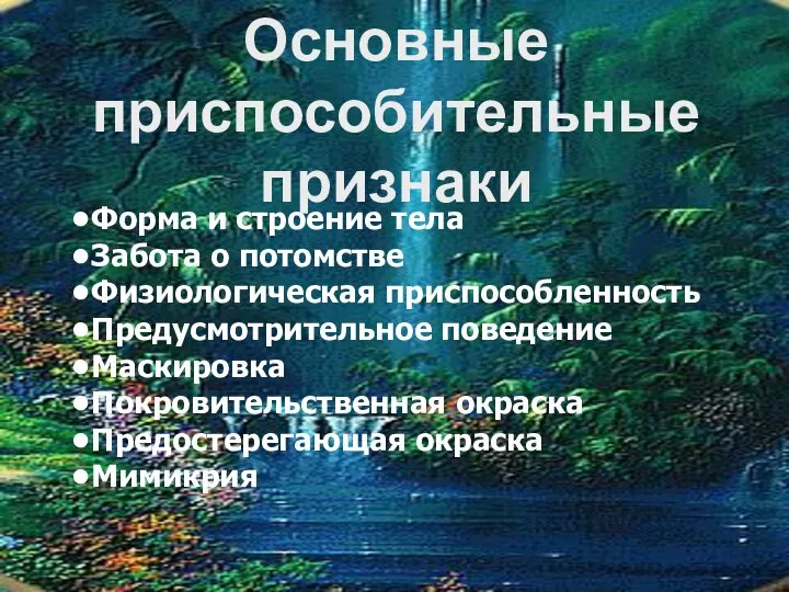 Форма и строение тела Забота о потомстве Физиологическая приспособленность Предусмотрительное поведение