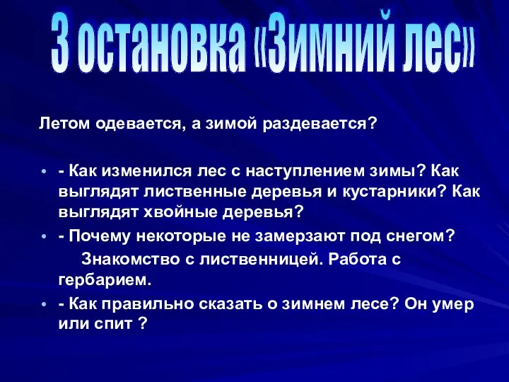 Летом одевается, а зимой раздевается? - Как изменился лес с наступлением