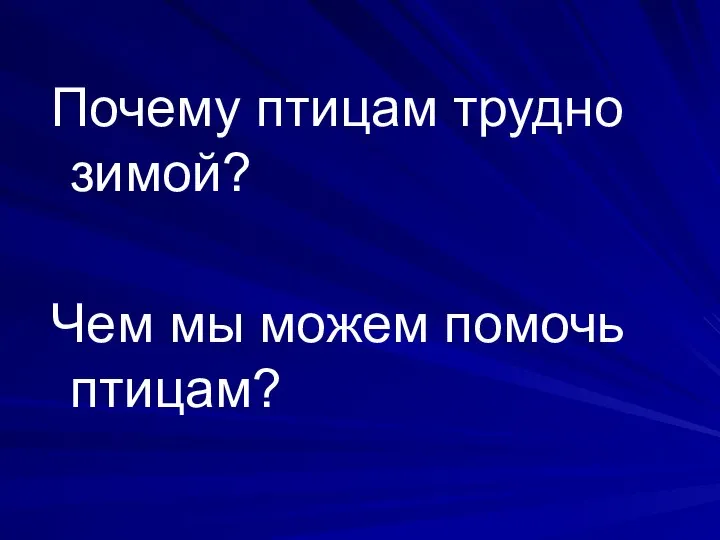 Почему птицам трудно зимой? Чем мы можем помочь птицам?