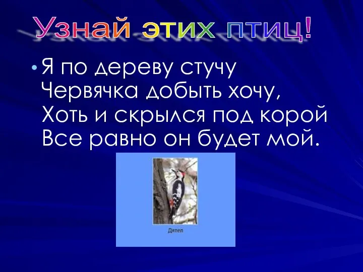 Я по дереву стучу Червячка добыть хочу, Хоть и скрылся под