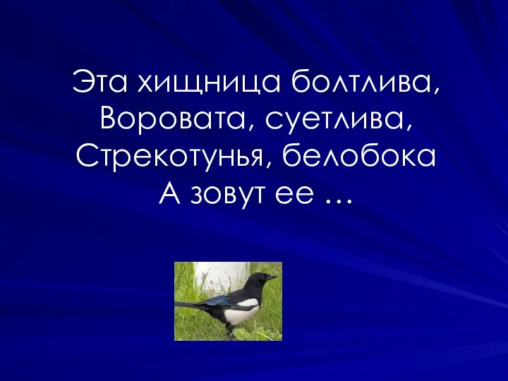 Эта хищница болтлива, Воровата, суетлива, Стрекотунья, белобока А зовут ее …