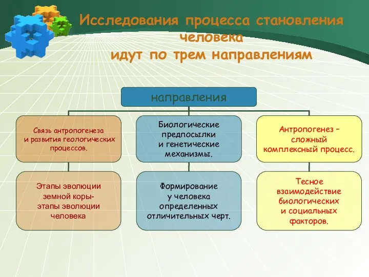 Исследования процесса становления человека идут по трем направлениям