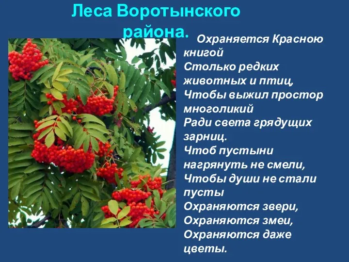 о Леса Воротынского района. Охраняется Красною книгой Столько редких животных и