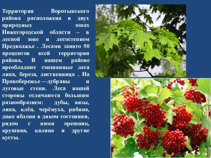 Территория Воротынского района расположена в двух природных зонах Нижегородской области –