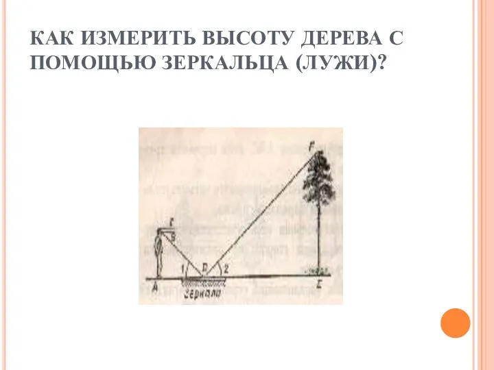 КАК ИЗМЕРИТЬ ВЫСОТУ ДЕРЕВА С ПОМОЩЬЮ ЗЕРКАЛЬЦА (ЛУЖИ)?