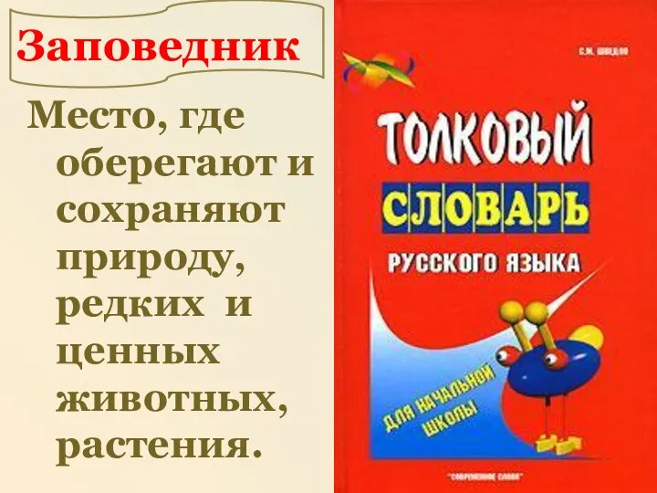 Место, где оберегают и сохраняют природу, редких и ценных животных, растения. Заповедник