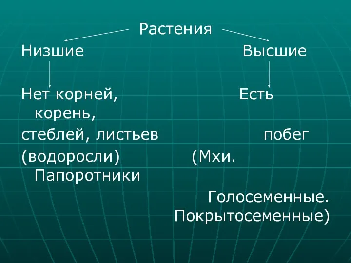 Растения Низшие Высшие Нет корней, Есть корень, стеблей, листьев побег (водоросли) (Мхи. Папоротники Голосеменные. Покрытосеменные)