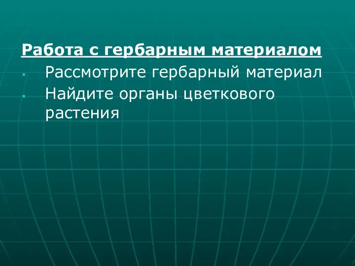 Работа с гербарным материалом Рассмотрите гербарный материал Найдите органы цветкового растения