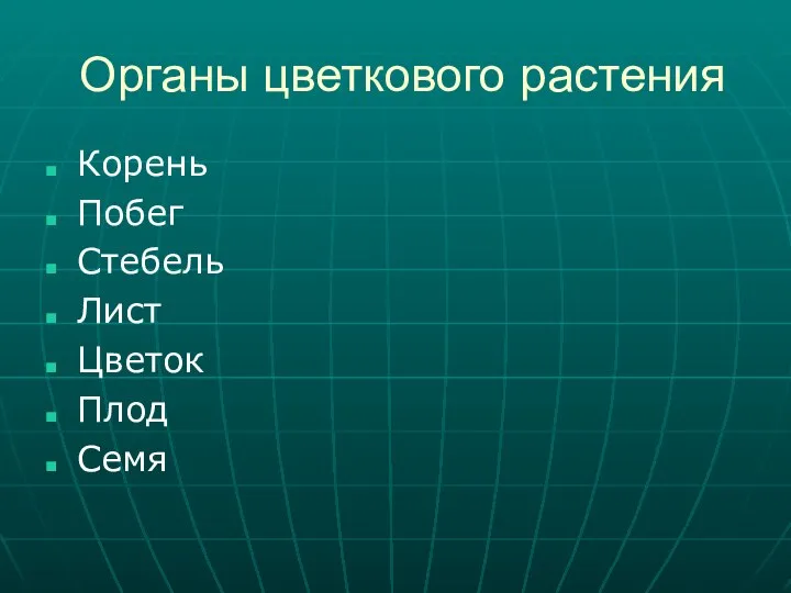 Органы цветкового растения Корень Побег Стебель Лист Цветок Плод Семя