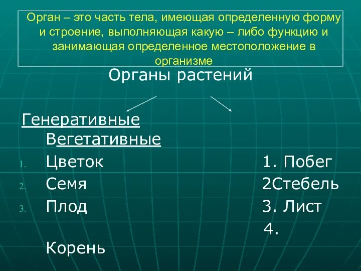 Орган – это часть тела, имеющая определенную форму и строение, выполняющая