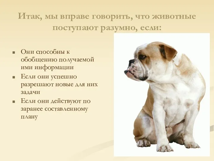 Итак, мы вправе говорить, что животные поступают разумно, если: Они способны