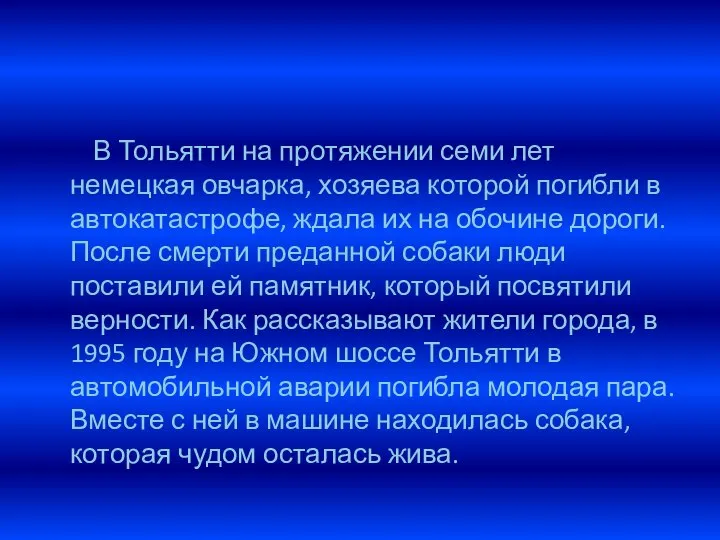 В Тольятти на протяжении семи лет немецкая овчарка, хозяева которой погибли