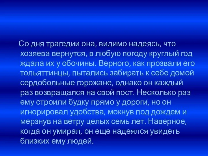 Со дня трагедии она, видимо надеясь, что хозяева вернутся, в любую