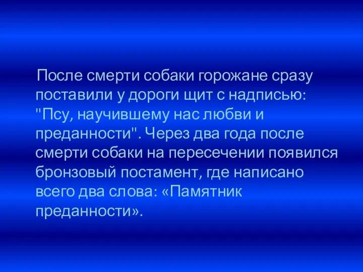 После смерти собаки горожане сразу поставили у дороги щит с надписью: