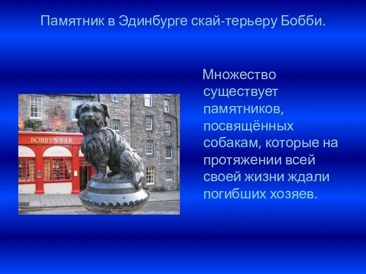 Памятник в Эдинбурге скай-терьеру Бобби. Множество существует памятников, посвящённых собакам, которые