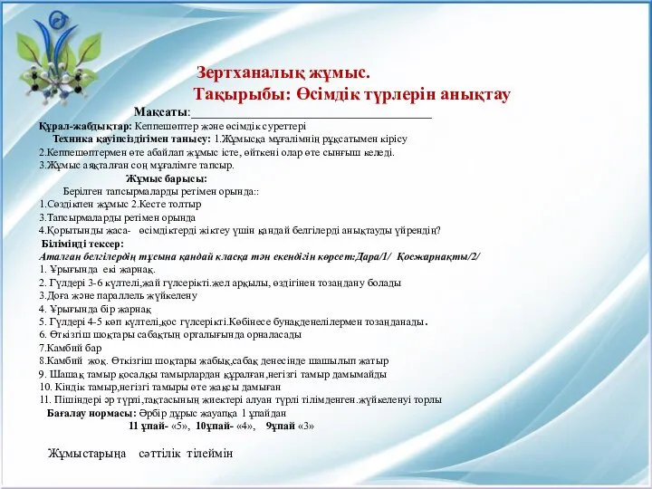 Зертханалық жұмыс. Тақырыбы: Өсімдік түрлерін анықтау Мақсаты:______________________________________ Құрал-жабдықтар: Кеппешөптер және өсімдік