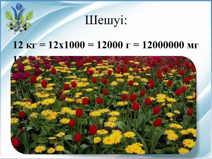 Шешуі: 12 кг = 12х1000 = 12000 г = 12000000 мг 12000000:12 мг = 1000000