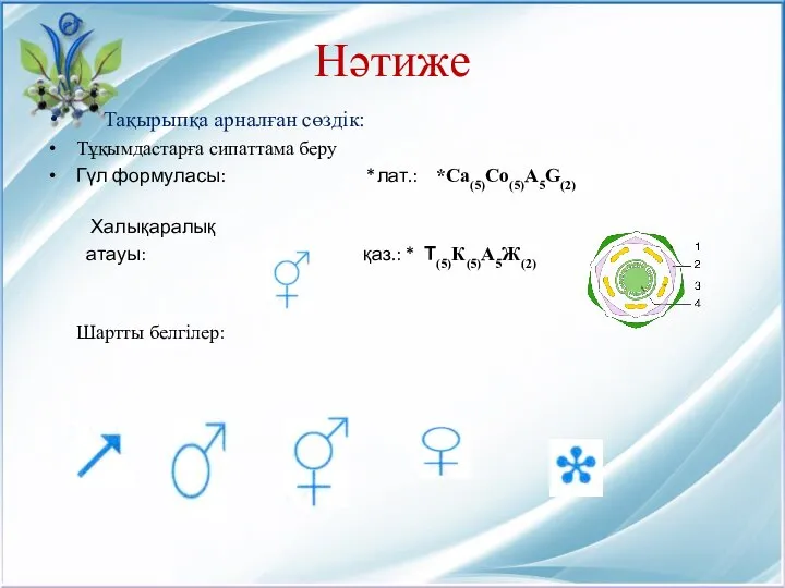 Нәтиже Тақырыпқа арналған сөздік: Тұқымдастарға сипаттама беру Гүл формуласы: *лат.: *Ca(5)Co(5)A5G(2)