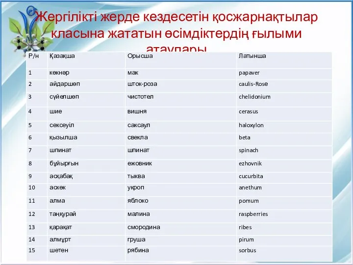 Жергілікті жерде кездесетін қосжарнақтылар класына жататын өсімдіктердің ғылыми атаулары