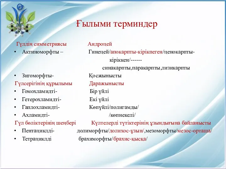 Ғылыми терминдер Гүлдің симметриясы Андроцей Актиноморфты – Гинецей/апокарпты-кірікпеген/ценокарпты- кіріккен/------ синакарпты,паракарпты,лизикарпты Зигоморфты-