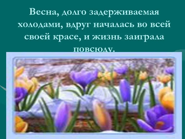 Весна, долго задерживаемая холодами, вдруг началась во всей своей красе, и жизнь заиграла повсюду.