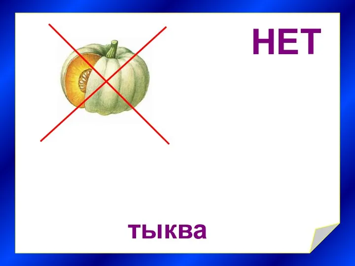 НЕТ тыква