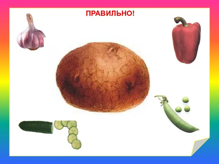 ПРАВИЛЬНО!