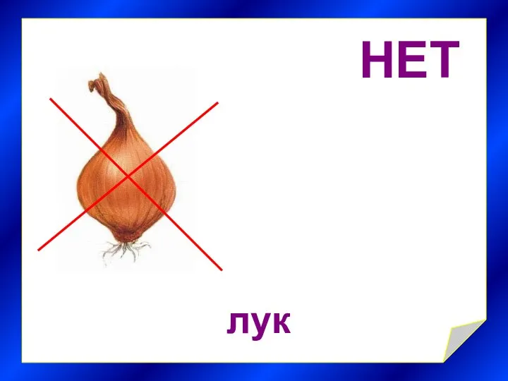 НЕТ лук