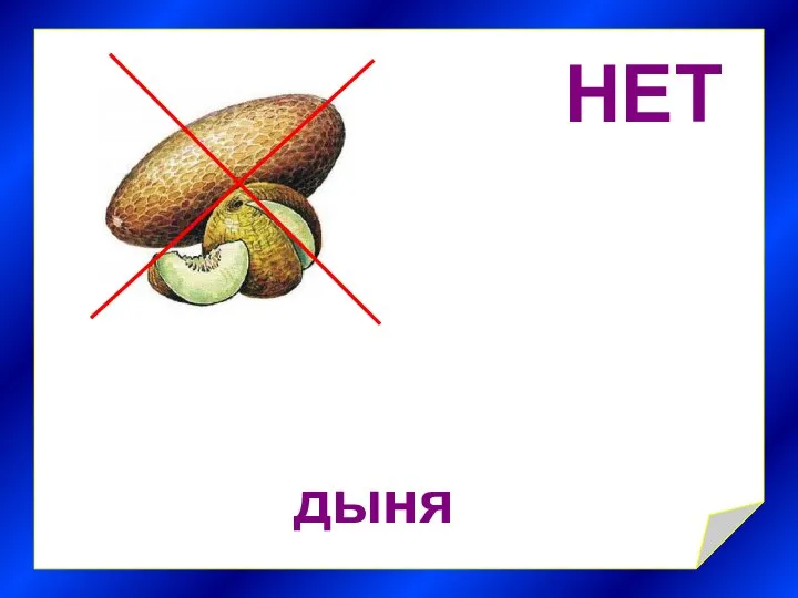 НЕТ дыня