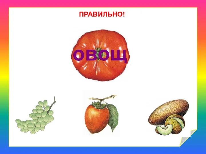 ПРАВИЛЬНО! овощ