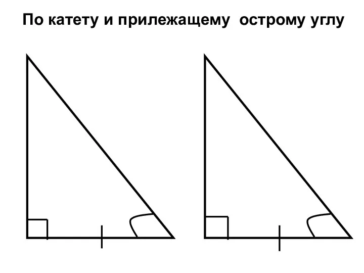 По катету и прилежащему острому углу