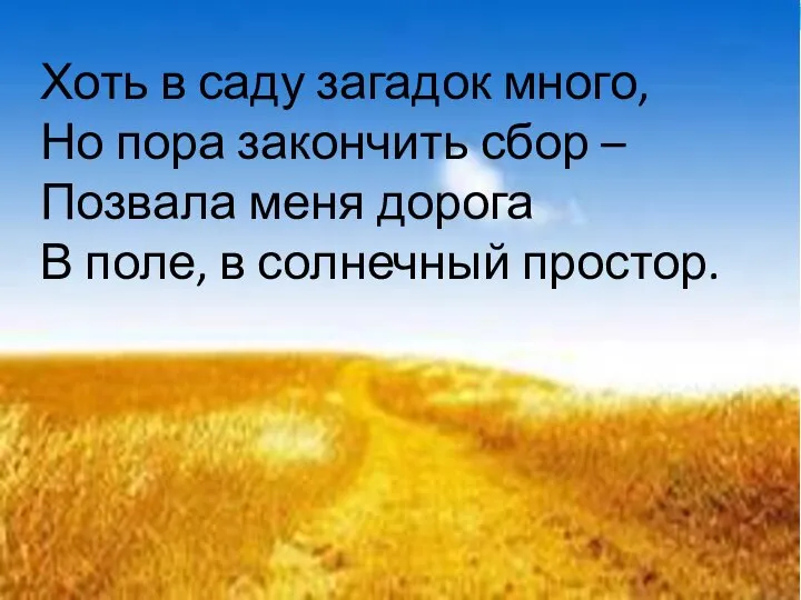 Хоть в саду загадок много, Но пора закончить сбор – Позвала