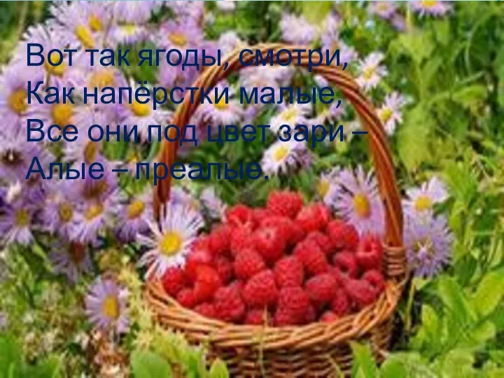 Вот так ягоды, смотри, Как напёрстки малые, Все они под цвет зари – Алые – преалые.