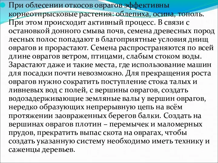 При облесении откосов оврагов эффективны корнеотпрысковые растения: облепиха, осина, тополь. При