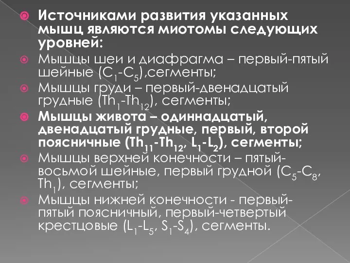 Источниками развития указанных мышц являются миотомы следующих уровней: Мышцы шеи и