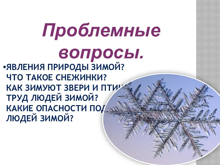 Явления природы зимой? Что такое снежинки? Как зимуют звери и птицы?